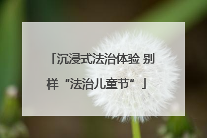 沉浸式法治体验 别样“法治儿童节”